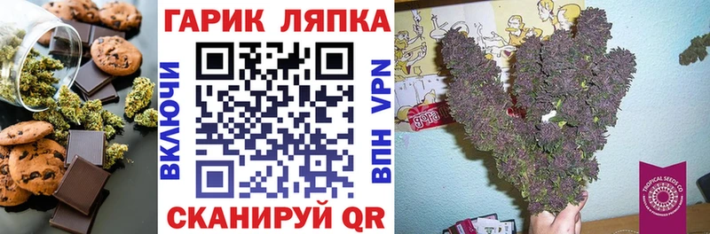 мега ссылка  продажа наркотиков  Мещовск  Cannafood марихуана 