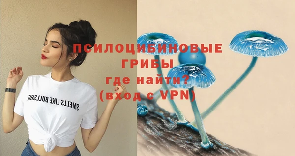 ГАЛЛЮЦИНОГЕННЫЕ ГРИБЫ Армянск